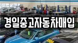 경일중고자동차매입