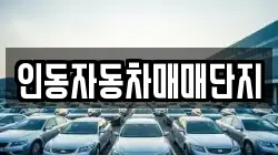 인동자동차매매단지