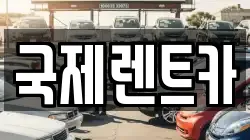 국제렌트카