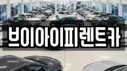 브이아이피렌트카