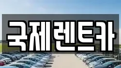 국제렌트카
