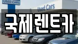국제렌트카