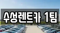 수성렌트카 1팀