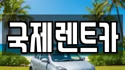 국제렌트카