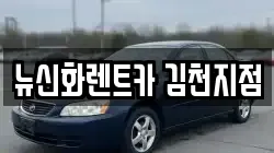 경상북도 김천시 삼락동 렌트카,단기렌트카,장기렌트카,중고차,중고차매매,중고차매입