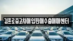 김프로중고차매입판매수출매매센터
