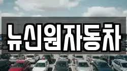 뉴신원자동차