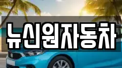 뉴신원자동차