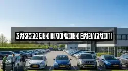 경상북도 봉화군 법전면 렌트카,단기렌트카,장기렌트카,중고차,중고차매매,중고차매입