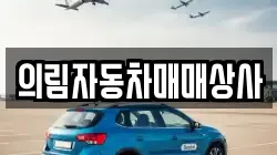 의림자동차매매상사