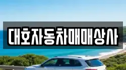 대호자동차매매상사