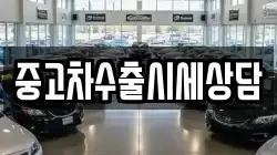 중고차수출시세상담