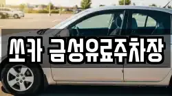 쏘카 금성유료주차장