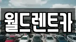 월드렌트카