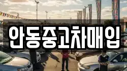 안동중고차매입