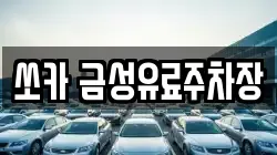 쏘카 금성유료주차장