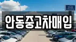 안동중고차매입