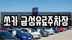 쏘카 금성유료주차장