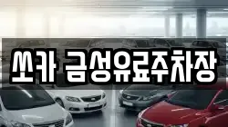 쏘카 금성유료주차장
