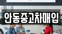 안동중고차매입