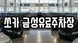 쏘카 금성유료주차장