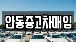 안동중고차매입