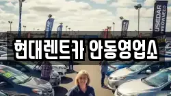 경상북도 안동시 법상동 렌트카,단기렌트카,장기렌트카,중고차,중고차매매,중고차매입
