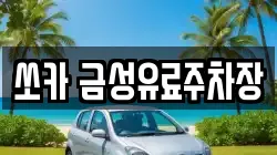 쏘카 금성유료주차장