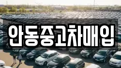안동중고차매입