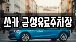 쏘카 금성유료주차장