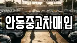 안동중고차매입