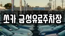 쏘카 금성유료주차장