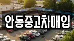 안동중고차매입