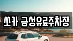 쏘카 금성유료주차장
