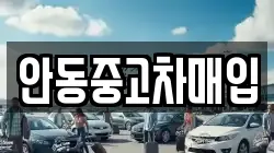 안동중고차매입