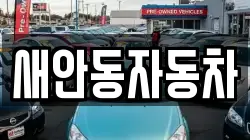 새안동자동차