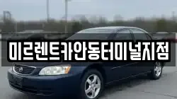 미르렌트카안동터미널지점