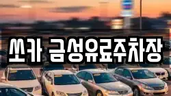 쏘카 금성유료주차장