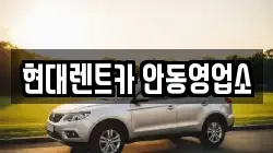 경상북도 안동시 신세동 렌트카,단기렌트카,장기렌트카,중고차,중고차매매,중고차매입