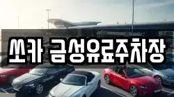 쏘카 금성유료주차장