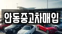 안동중고차매입