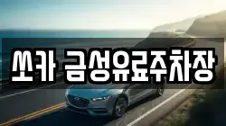 쏘카 금성유료주차장