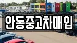 안동중고차매입