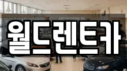월드렌트카