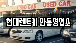 경상북도 안동시 옥야동 렌트카,단기렌트카,장기렌트카,중고차,중고차매매,중고차매입