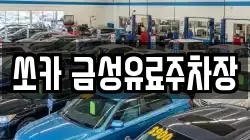 쏘카 금성유료주차장