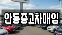 안동중고차매입