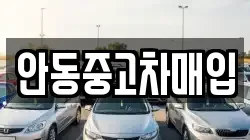 안동중고차매입