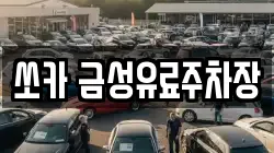 쏘카 금성유료주차장