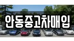 안동중고차매입